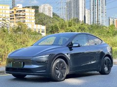 Tesla Model Y Rear-Wheel Drive - ფოტო 1