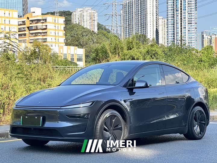 Tesla Model Y Rear-Wheel Drive