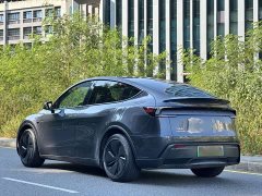 Tesla Model Y Rear-Wheel Drive - ფოტო 11