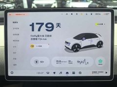 Nio Firefly Zizai Edition - ფოტო 13