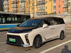 Buick GL8 2023 Avenir Six-Seater Wisdom Courtesy Edition - ფოტო 1