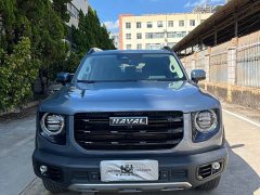 Great Wall Dachshund 2021 2.0T DCT Four-Wheel Drive Chinese Rural Dog Edition - ფოტო 2