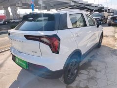Geely Geometry E Firefly 320KM Cute Tiger 4-Seater - ფოტო 6