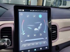 Chery Ant 30.6kWh - ფოტო 13