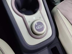 Chery Ant 30.6kWh - ფოტო 16