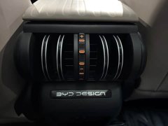BYD Yuan Plus Glory Edition 430KM Transcend - ფოტო 12