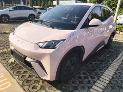 BYD Seagull Glory Edition 305km Vitality Version - ფოტო 1