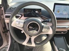 BYD Seagull Glory Edition 305km Vitality Version - ფოტო 10