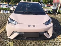 BYD Seagull Glory Edition 305km Vitality Version - ფოტო 2