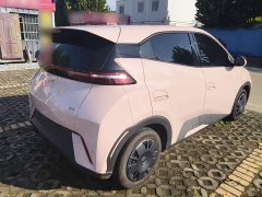 BYD Seagull Glory Edition 305km Vitality Version - ფოტო 6