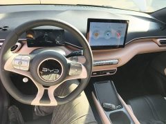 BYD Seagull Glory Edition 305km Vitality Version - ფოტო 9