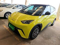 BYD Seagull Vitality Edition - ფოტო 1