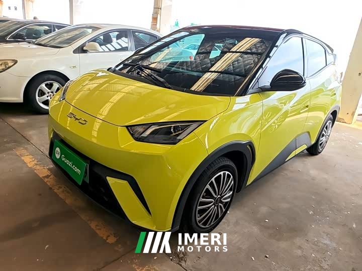BYD Seagull Vitality Edition