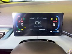 BYD Seagull Vitality Edition - ფოტო 11