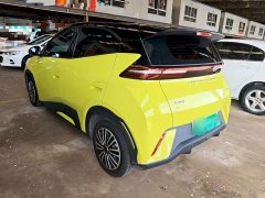 BYD Seagull Vitality Edition - ფოტო 4