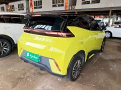 BYD Seagull Vitality Edition - ფოტო 6