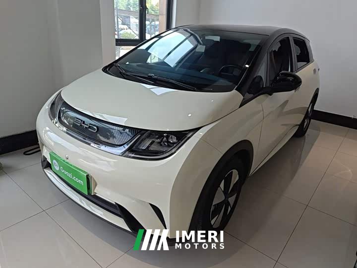 BYD Dolphin 420km Freedom Edition - ავტომობილი ჩინეთიდან