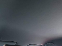 BYD Dolphin 420km Freedom Edition - ფოტო 17