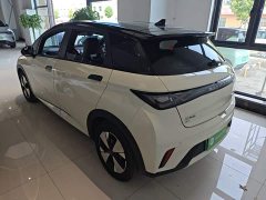 BYD Dolphin 420km Freedom Edition - ფოტო 4