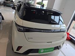 BYD Dolphin 420km Freedom Edition - ფოტო 5
