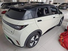 BYD Dolphin 420km Freedom Edition - ფოტო 6