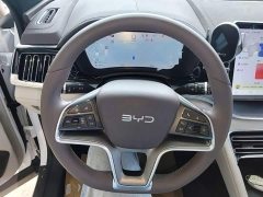 BYD Song Plus New Energy 2025 DM-i 112KM Prestige - ფოტო 10