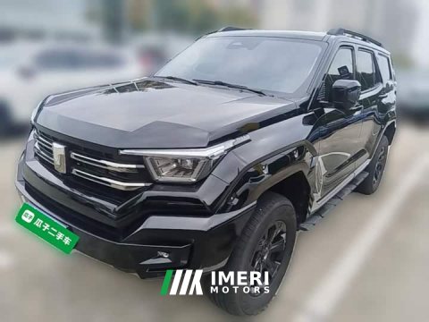 2025 Tank 400 2.0T Gasoline - ავტომობილი ჩინეთიდან