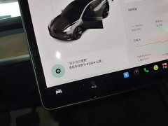 Tesla Model 3 Standard Range RWD Upgrade - ფოტო 11