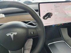Tesla Model 3 Standard Range RWD Upgrade - ფოტო 13
