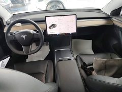 Tesla Model 3 Standard Range RWD Upgrade - ფოტო 9