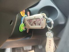 Toyota Corolla Sharp Release 2.0L Pioneer Edition - ფოტო 8