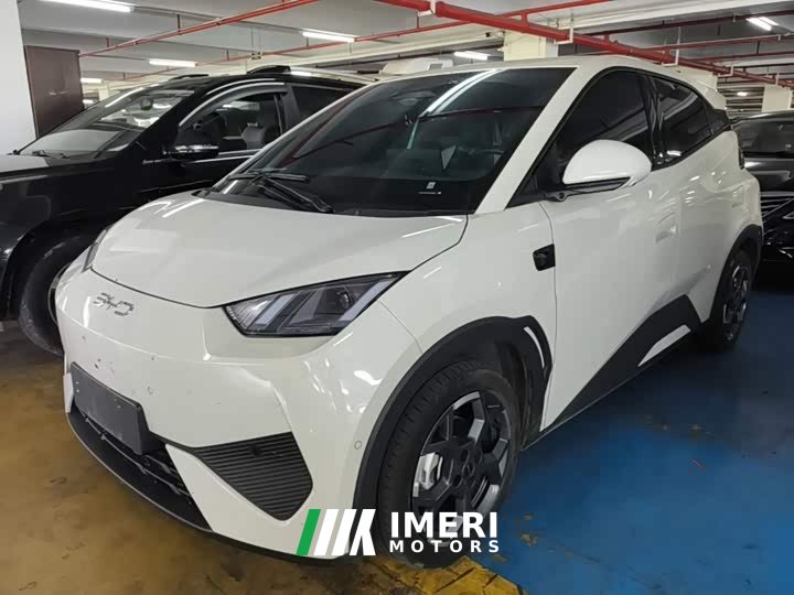 BYD Seagull Smart Driving Edition 305km Freedom Edition - ავტომობილი ჩინეთიდან