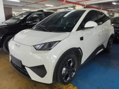 BYD Seagull Smart Driving Edition 305km Freedom Edition - ფოტო 1