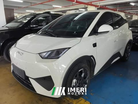 2025 BYD Seagull Smart Driving Edition 305km Freedom Edition - ავტომობილი ჩინეთიდან