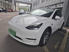 Tesla Model Y Long Range All-Wheel Drive 3D7 - ფოტო 1