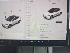 Tesla Model Y Long Range All-Wheel Drive 3D7 - ფოტო 11