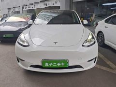 Tesla Model Y Long Range All-Wheel Drive 3D7 - ფოტო 2
