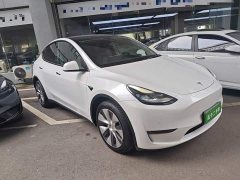 Tesla Model Y Long Range All-Wheel Drive 3D7 - ფოტო 3