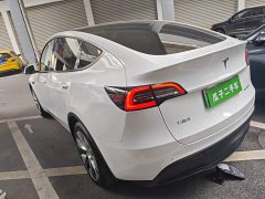 Tesla Model Y Long Range All-Wheel Drive 3D7 - ფოტო 4