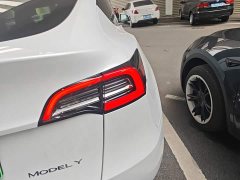Tesla Model Y Long Range All-Wheel Drive 3D7 - ფოტო 7