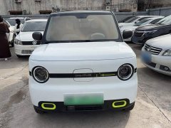 Geely Panda Mini 210km Vitality Edition - ფოტო 3