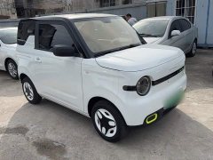 Geely Panda Mini 210km Vitality Edition - ფოტო 4
