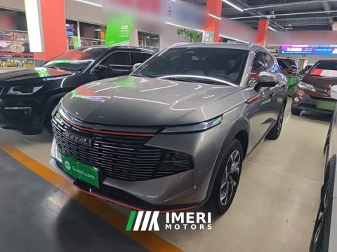 2023 Haval Divine Beast 2022 1.5T Smart Enjoy Edition - ავტომობილი ჩინეთიდან
