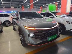 Haval Divine Beast 2022 1.5T Smart Enjoy Edition - ფოტო 3