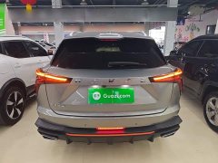 Haval Divine Beast 2022 1.5T Smart Enjoy Edition - ფოტო 5