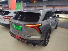 Haval Divine Beast 2022 1.5T Smart Enjoy Edition - ფოტო 6