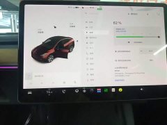 Tesla Model Y Standard Range RWD - ფოტო 12