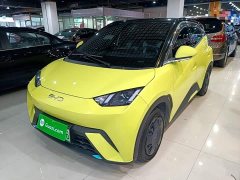 BYD Seagull Glory Edition 305km Vitality Version - ფოტო 1