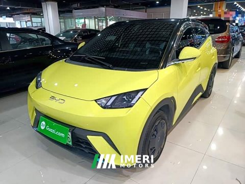 2024 BYD Seagull Glory Edition 305km Vitality Version - ავტომობილი ჩინეთიდან