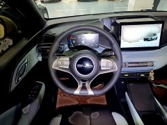 BYD Seagull Glory Edition 305km Vitality Version - ფოტო 10